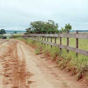 Construção Rural - 23