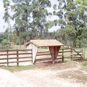 Construção Rural - 29